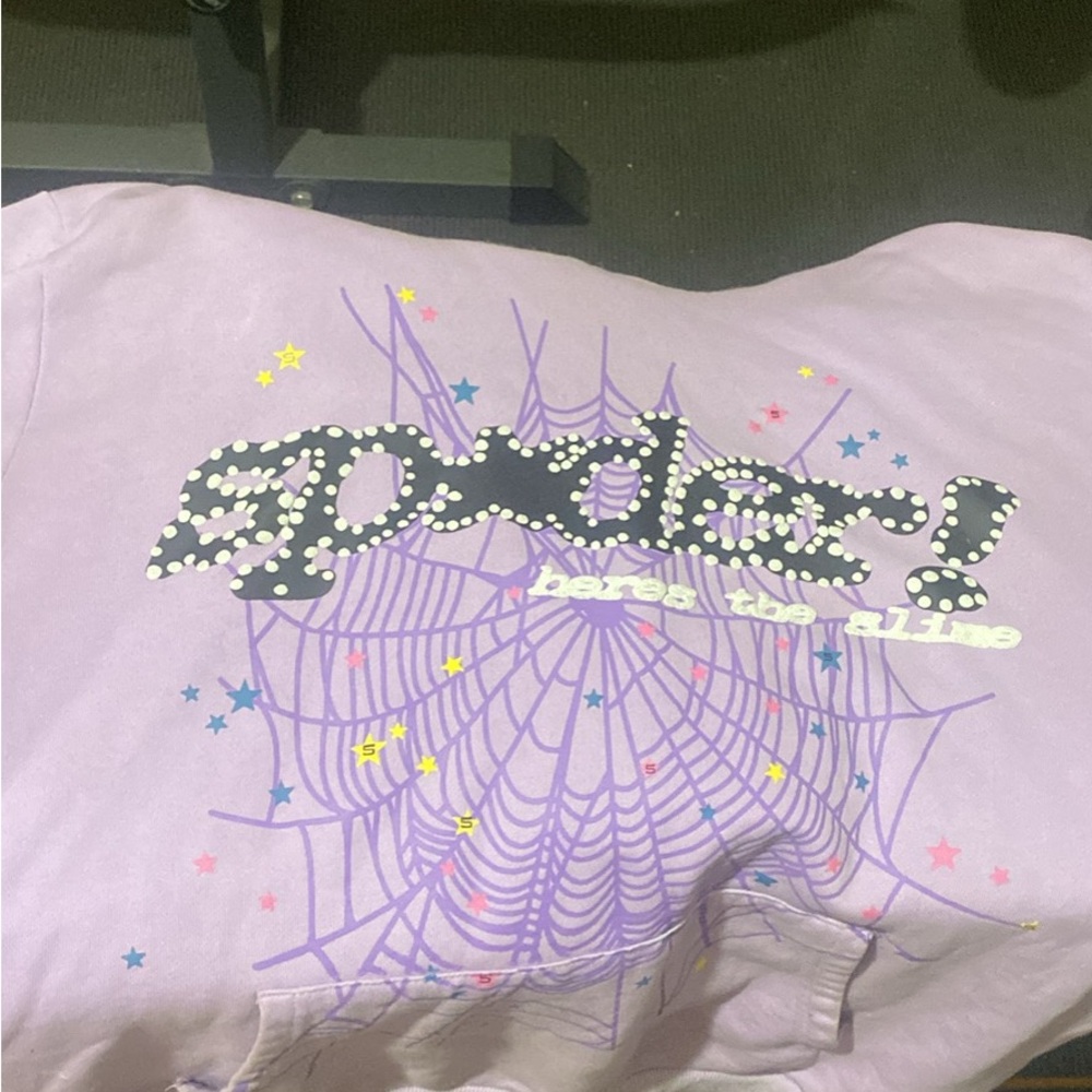 Spyder Lavender Hoodie with Graphic Design